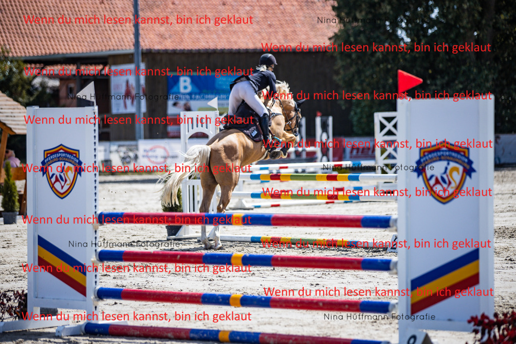 BK1A5180 | Turnierbilder Turnierfotos Nina Hüffmann Turnierfotografie Pferdefotografie Tierzeichnung Haustierzeichnung Pferdezeichnung Hundezeichnung Videograf  - Realisiert mit Pictrs.com