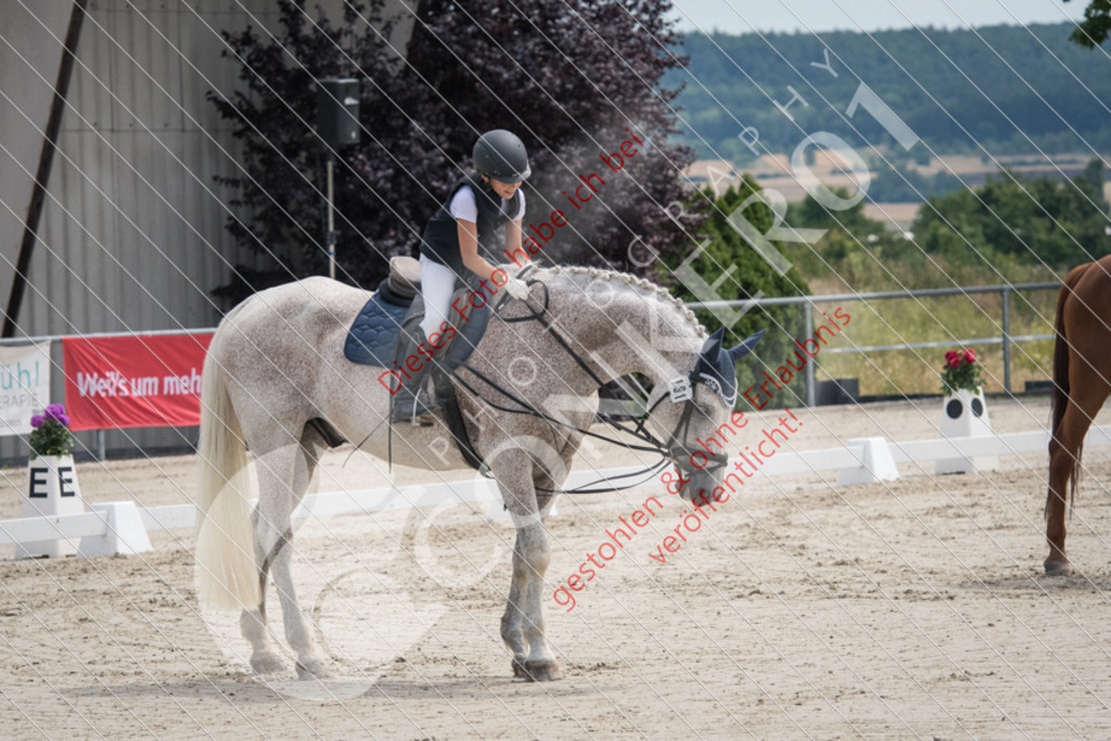 ND5_7949 | Sport-, Event- und Tierfotos in Profiqualität. Einfach auswählen, bestellen und herunterladen. Dein Moment – perfekt festgehalten.