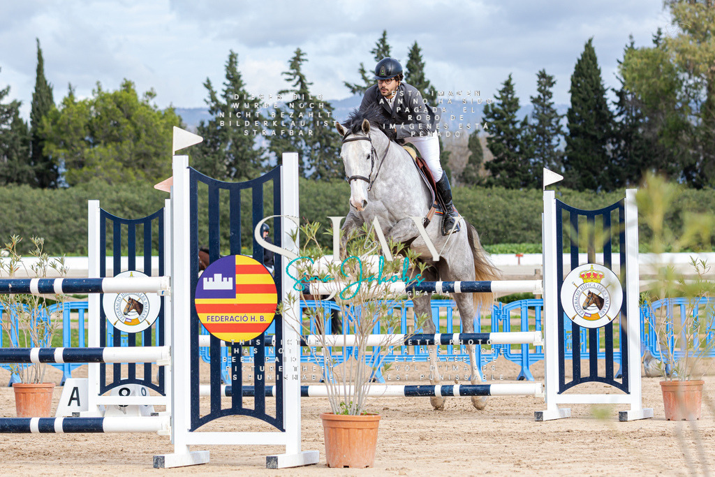 IMG_2584 | s-jay-photography - Realisiert mit Pictrs.com