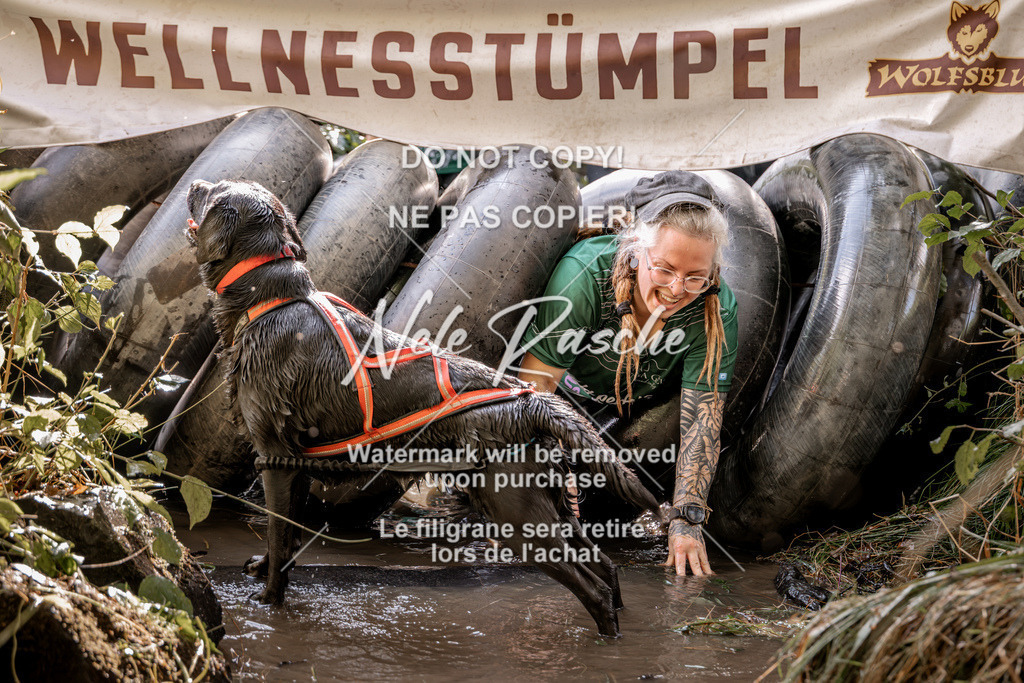 nelerasche_Hunsrück2026_Sa1400-1500_418 | nelerasche