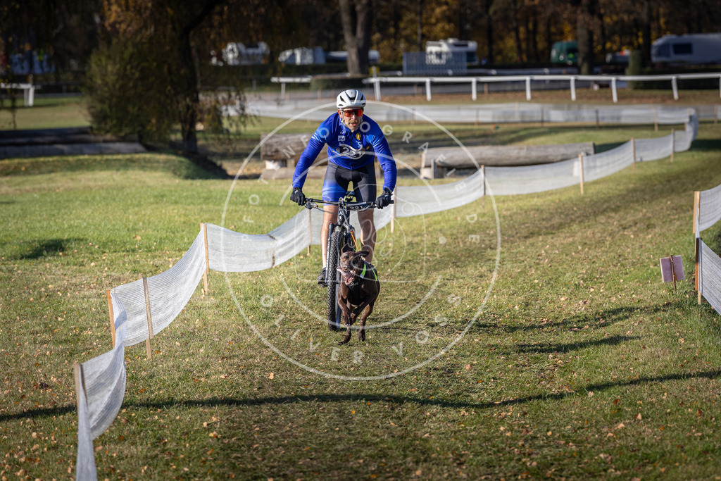 CaniXpix_DV3A3450 | Hundefotografie, Tierfotograf, Pfotenfotografie, Fotoshooting Hund, Hunde Portrait, Hundesport, Hundeportraits, Heideshooting, Hunde, Sportfotograf, Hundefotograf, Turnierhundsport, THS,  - Realisiert mit Pictrs.com
