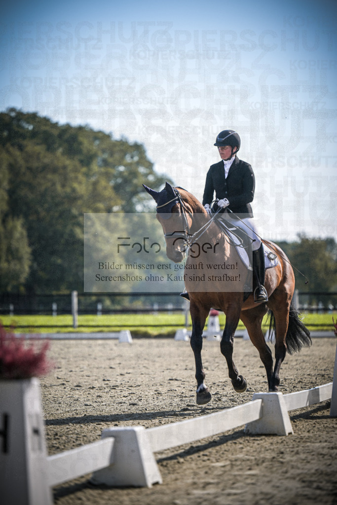 DOS_1518 | Entdecke hochwertige Reitturnierfotos von Foto Oger. Professionell, emotional und authentisch – jetzt Lieblingsmomente im Shop bestellen.Deutschlandweite Turnierfotografie. - Realisiert mit Pictrs.com