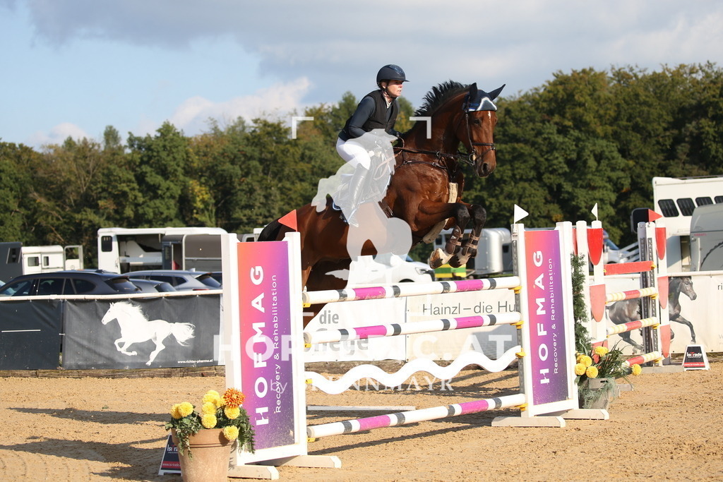 DL2Q5711 | Willkommen bei Brunnmayr - Design & Fotografie – Ihrem Spezialisten für Reitturniere und Pferdeveranstaltungen in Oberösterreich, Salzburg und Bayern! Seit über 17 Jahren sind wir leidenschaftlich dabei.