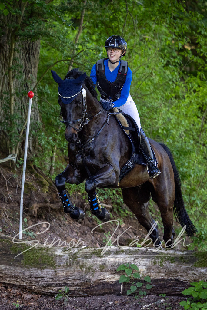 20260523-_3LI6137 | Tierfotografie Pferde, Hunde, Katzen, Haustiere.
Turnierfotografie Reitturniere, Reiten, Springreiten, Dressur in Hanau, dem Main-Kinzig-Kreis und dem Rhein-Main- Gebiet um Frankfurt