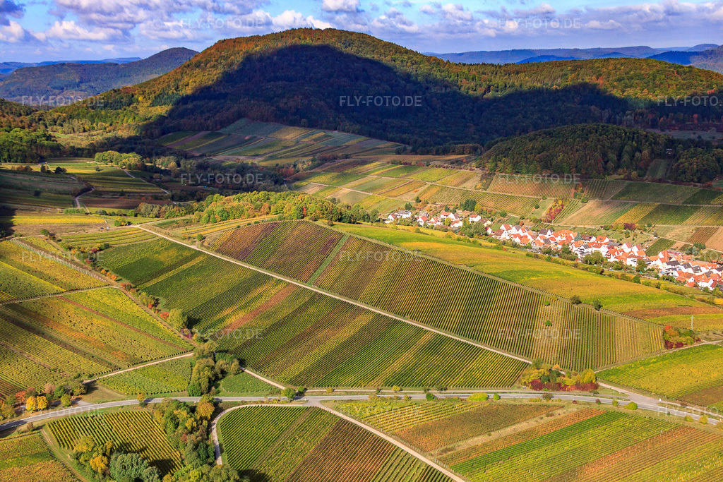 Luftbild: Weinberge am Ranschbachtal in Birkweiler im Bundesland Rheinland-Pfalz in Deutschland. Foto: IMG_22358.jpg vom 15.10.2009 durch Werner Riehm/FLY-FOTO.de