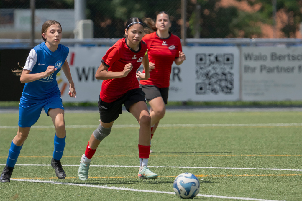_Z9Z5374-1 | photoluigi