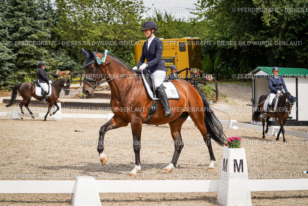 DSC04653 | Pferdegrafie