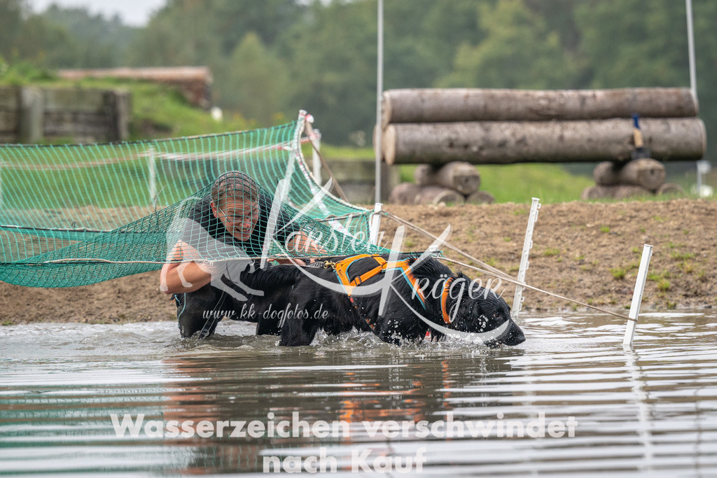 0914_ZZ94203 | kk-dogfotos