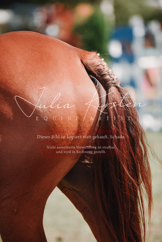 DSC_5800 | Pferde- und Turnierfotografie in Westsachsen. Pferdeportraits, Auftragszeichnungen und intuitive Kunst.