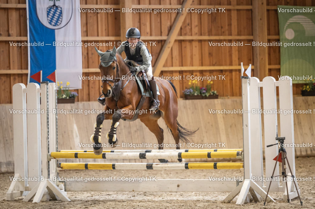 _D5A0237 | Emotionale Pferde- & People-Fotografie rund um Heidelberg, Leimen & Umgebung. Natürliche Fotos von Pferd, Mensch & Familie. Jetzt Termin sichern!