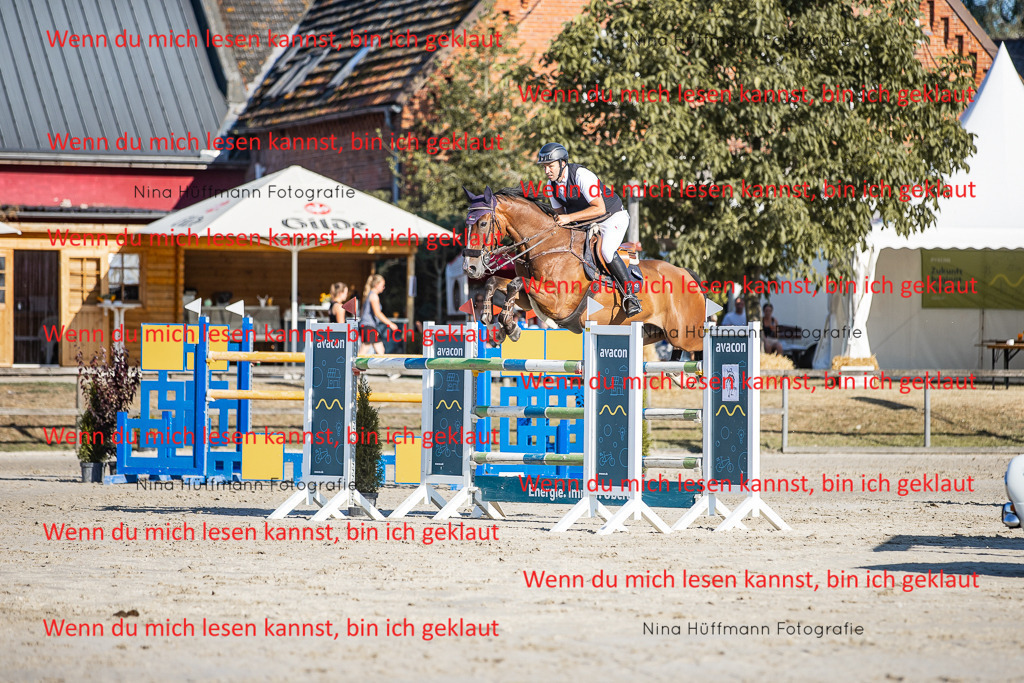 BK1A8672 | Turnierbilder Turnierfotos Nina Hüffmann Turnierfotografie Pferdefotografie Tierzeichnung Haustierzeichnung Pferdezeichnung Hundezeichnung Videograf  - Realisiert mit Pictrs.com