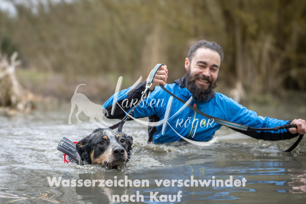 1034_ZZ90902 | kk-dogfotos