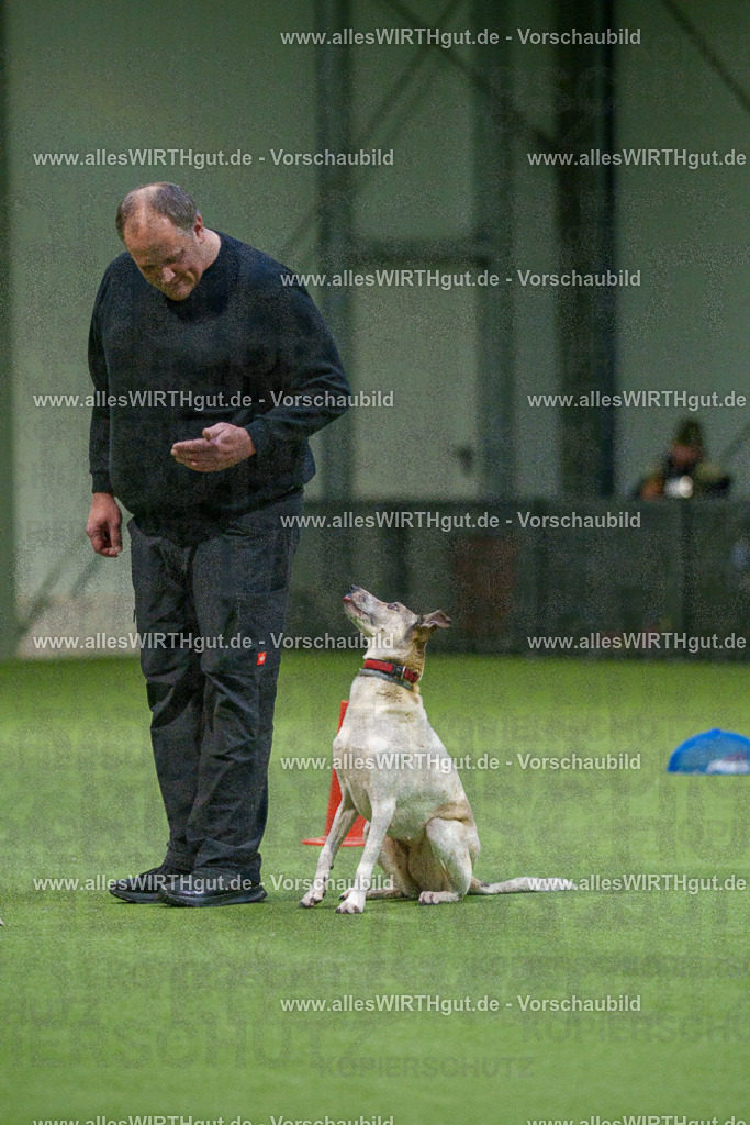 7R505329 | Professionelle Tierfotografie in Mönchengladbach von Daniel Wirth (allesWIRTHgut). Liebevolle & natürliche Bilder von Hunden & Katzen für unvergessliche Erinnerungen.