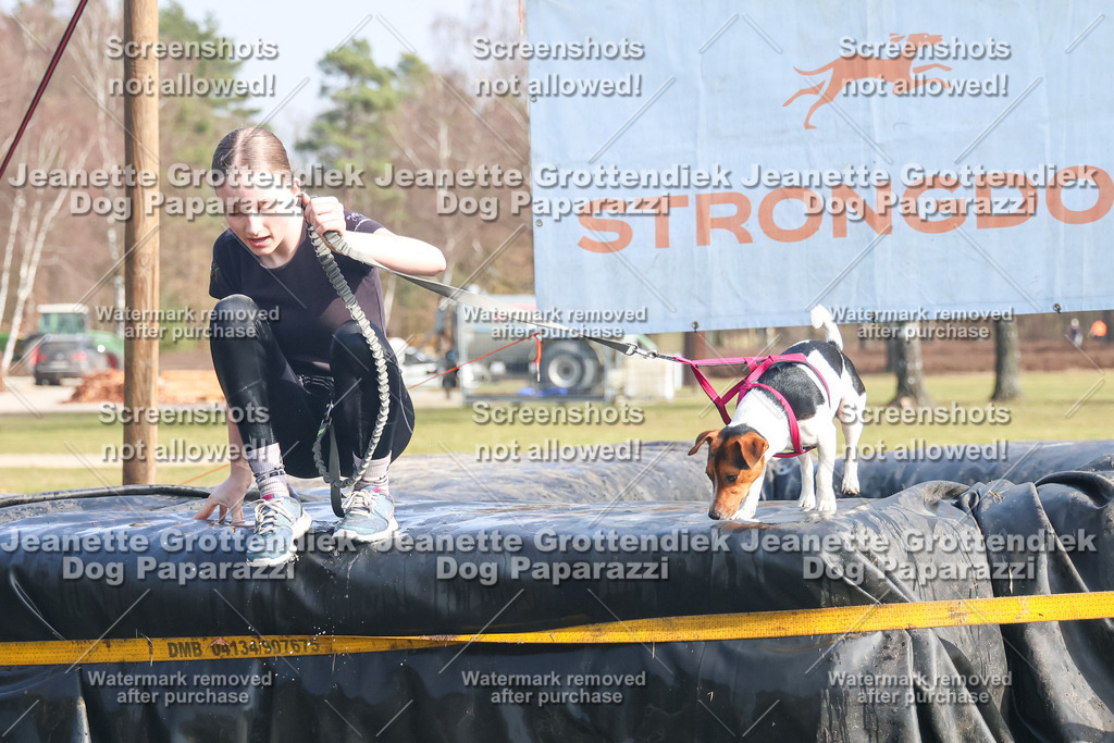 Dog Paparazzi - Strongdog North Mrz26-2149 | Dog Paparazzi Jeanette Grottendiek Fotografie & Videografie - Realisiert mit Pictrs.com