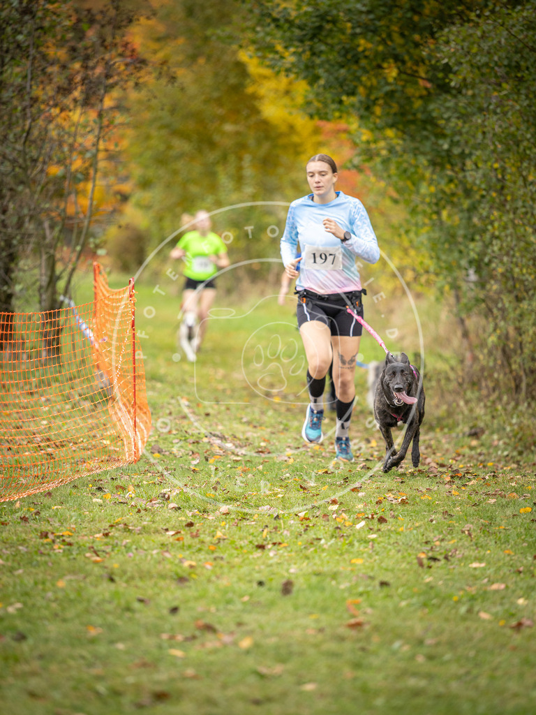 Pfotenfotografie_DV3A3881 | Hundefotografie, Tierfotograf, Pfotenfotografie, Fotoshooting Hund, Hunde Portrait, Hundesport, Hundeportraits, Heideshooting, Hunde, Sportfotograf, Hundefotograf, Turnierhundsport, THS,  - Realisiert mit Pictrs.com