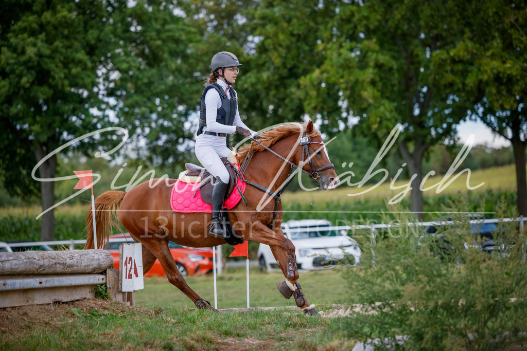 20250905-_3LI0573 | Tierfotografie Pferde, Hunde, Katzen, Haustiere.
Turnierfotografie Reitturniere, Reiten, Springreiten, Dressur in Hanau, dem Main-Kinzig-Kreis und dem Rhein-Main- Gebiet um Frankfurt