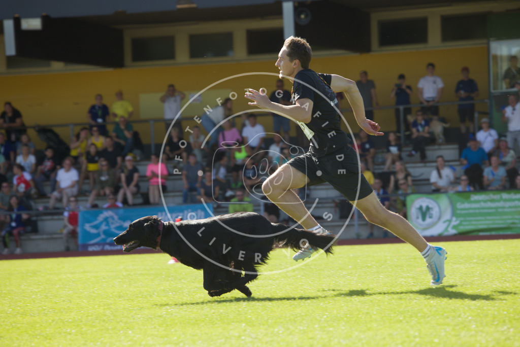 0L8A8691 | Hundefotografie, Tierfotograf, Pfotenfotografie, Fotoshooting Hund, Hunde Portrait, Hundesport, Hundeportraits, Heideshooting, Hunde, Sportfotograf, Hundefotograf, Turnierhundsport, THS,  - Realisiert mit Pictrs.com