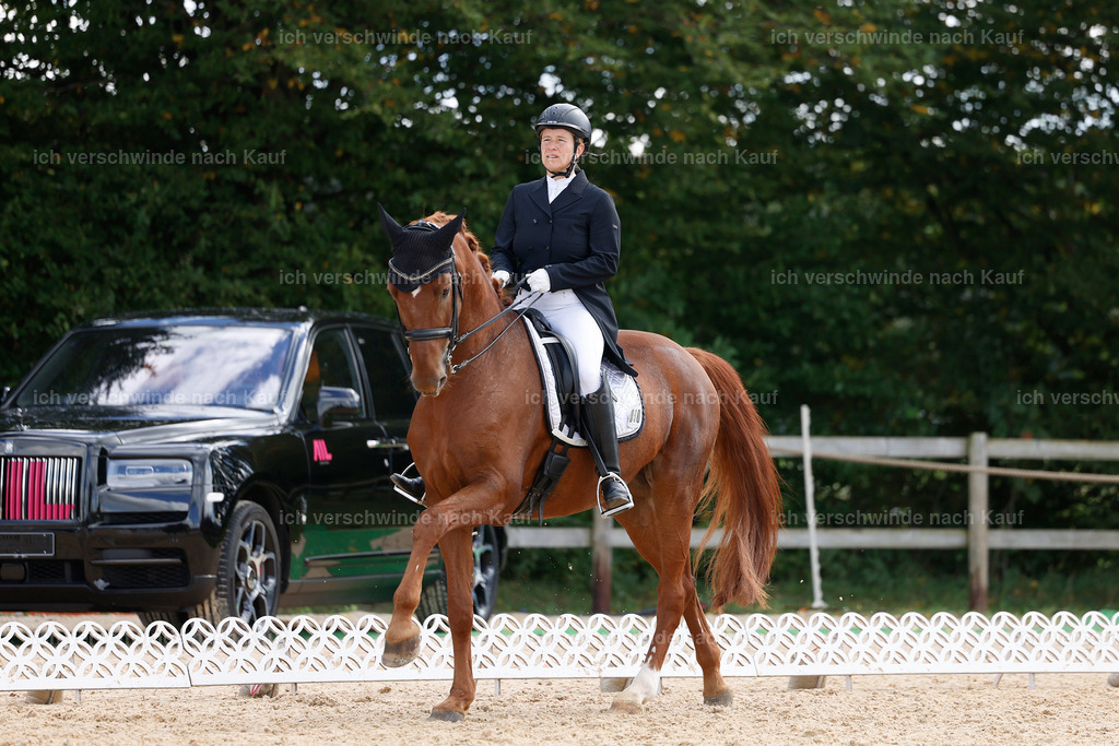 09_2-090-DRESSUR  S_  -StoibPH-5846 | working equitationturnier fotograf videograf stoibphotography marixx film working equitation deutschland reitsport turnierfotografie eventfotografie equestrian events
