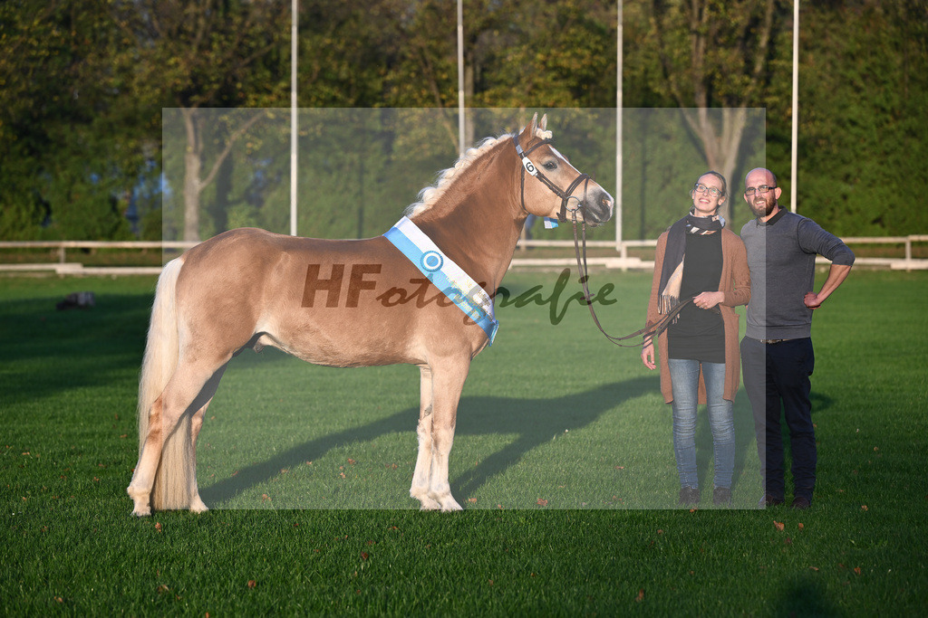 Kat-Nr. 6 Solero-D_Mahlknecht_44241156 | hf-fotografie - Realisiert mit Pictrs.com