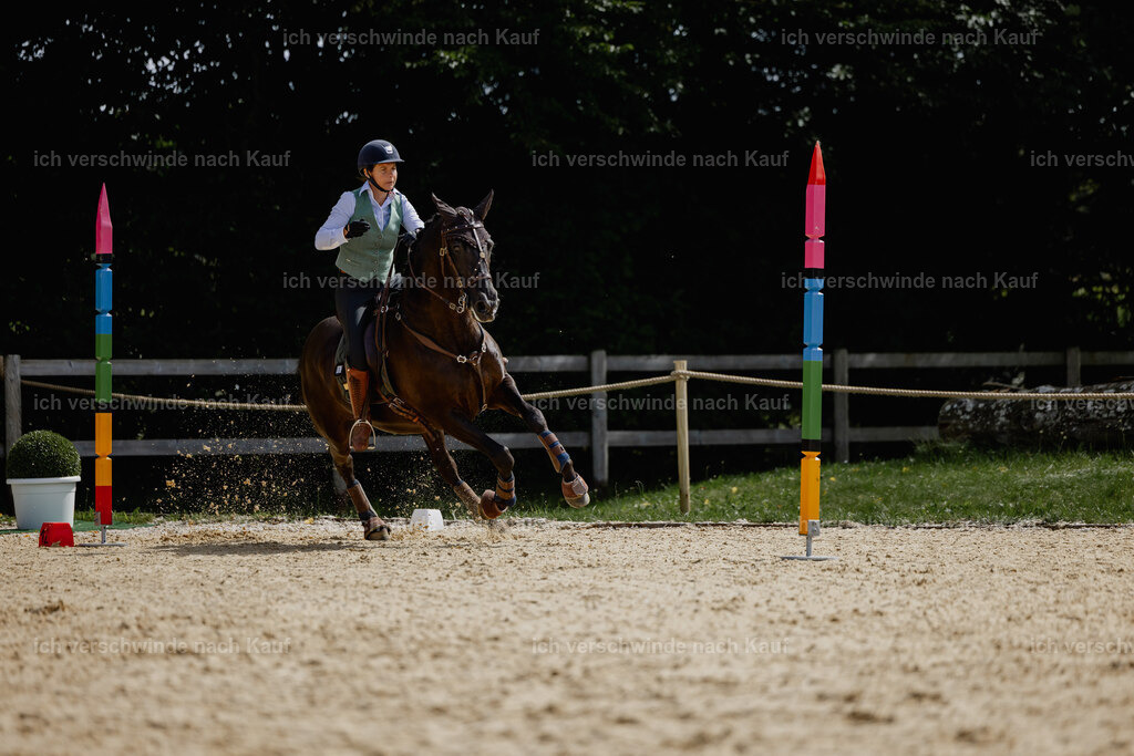 Mirjam25_FHC2025-20399 | working equitationturnier fotograf videograf stoibphotography marixx film working equitation deutschland reitsport turnierfotografie eventfotografie equestrian events