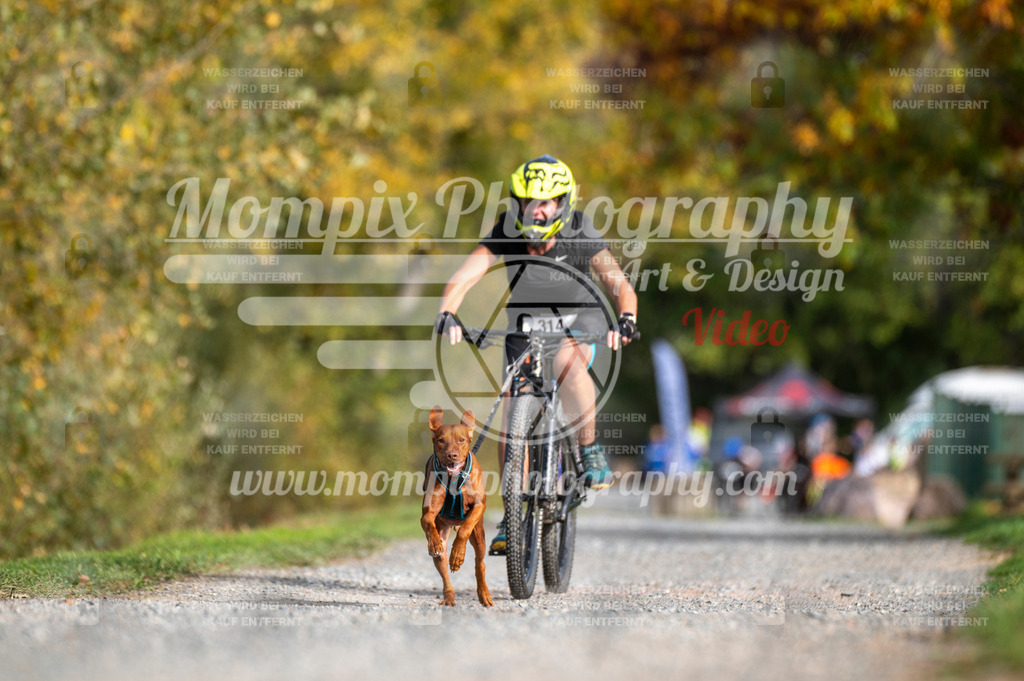 TSB_2023_E2_Bike-53 | PayLife
