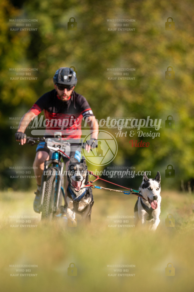 CDLBDB_15_10_2023_Dimanche-321 | mompixphotography