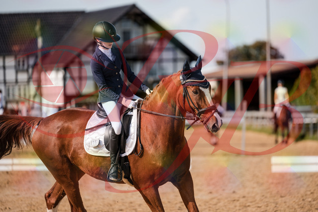 2026_10_03_Siefer-Hof_123709_Z63_55027702 | Professionelle Reitsport-, Turnier- und Eventfotografie von Robert Broda. Galerien mit ausgewählten und bearbeiteten Bildern direkt online ansehen und bestellen.