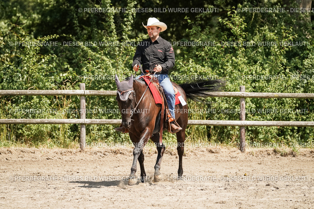 DSC09507 | Pferdegrafie