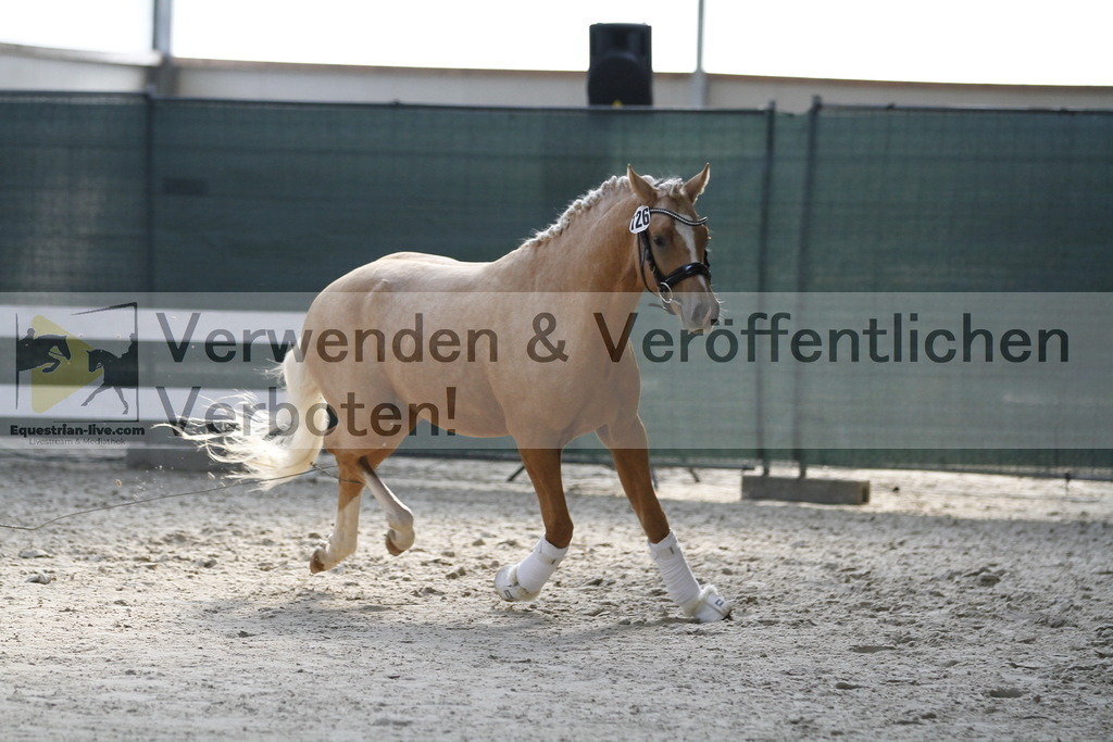 _MG_9735 | equestrian-live-com