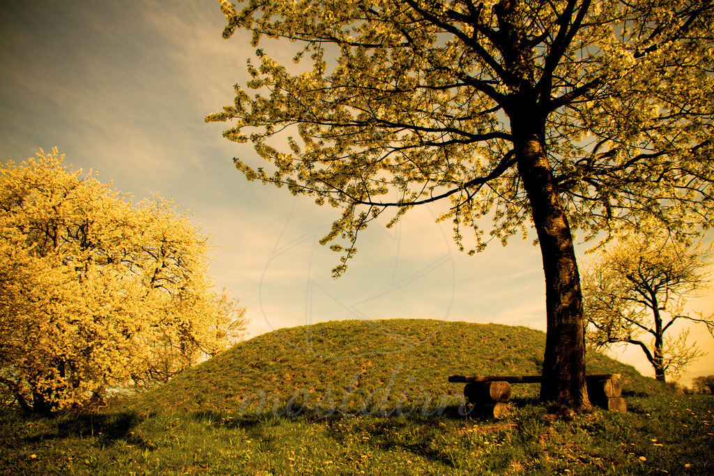 Tabor Randegg | Bei Veröffentlichung des Bildes ist eine Namensnennung wie folgt erforderlich: 
Foto: Mostdirn Irmgard Wieser - Realisiert mit Pictrs.com