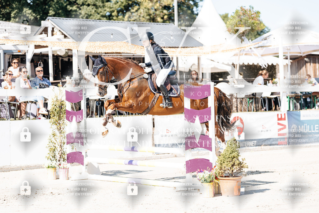 CK905215 | Turnierfotografie Pferdefotografie Trier Rheinland-Pfalz Pferdesport Reitsport Tierfotografie Sportfotografie Pferdevideo Pferdevideografie Equestrianvideography equestrianphotography  - Realisiert mit Pictrs.com