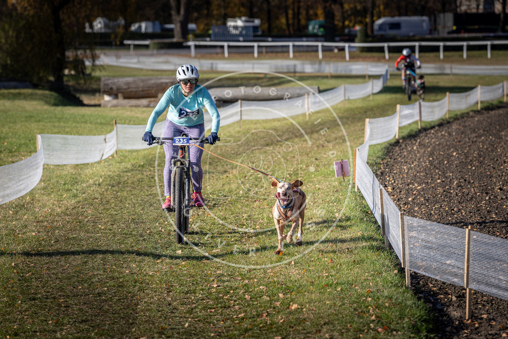 CaniXpix_DV3A4031 | Hundefotografie, Tierfotograf, Pfotenfotografie, Fotoshooting Hund, Hunde Portrait, Hundesport, Hundeportraits, Heideshooting, Hunde, Sportfotograf, Hundefotograf, Turnierhundsport, THS,  - Realisiert mit Pictrs.com