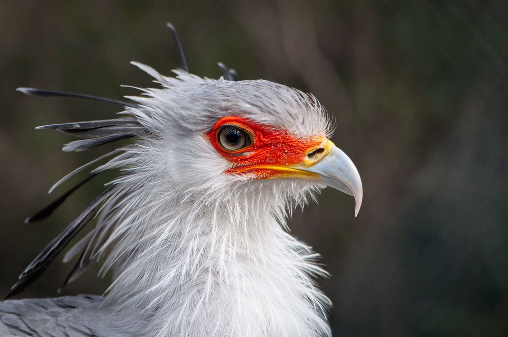 DSC_5675 | kaefersammler_roy - Realisiert mit Pictrs.com