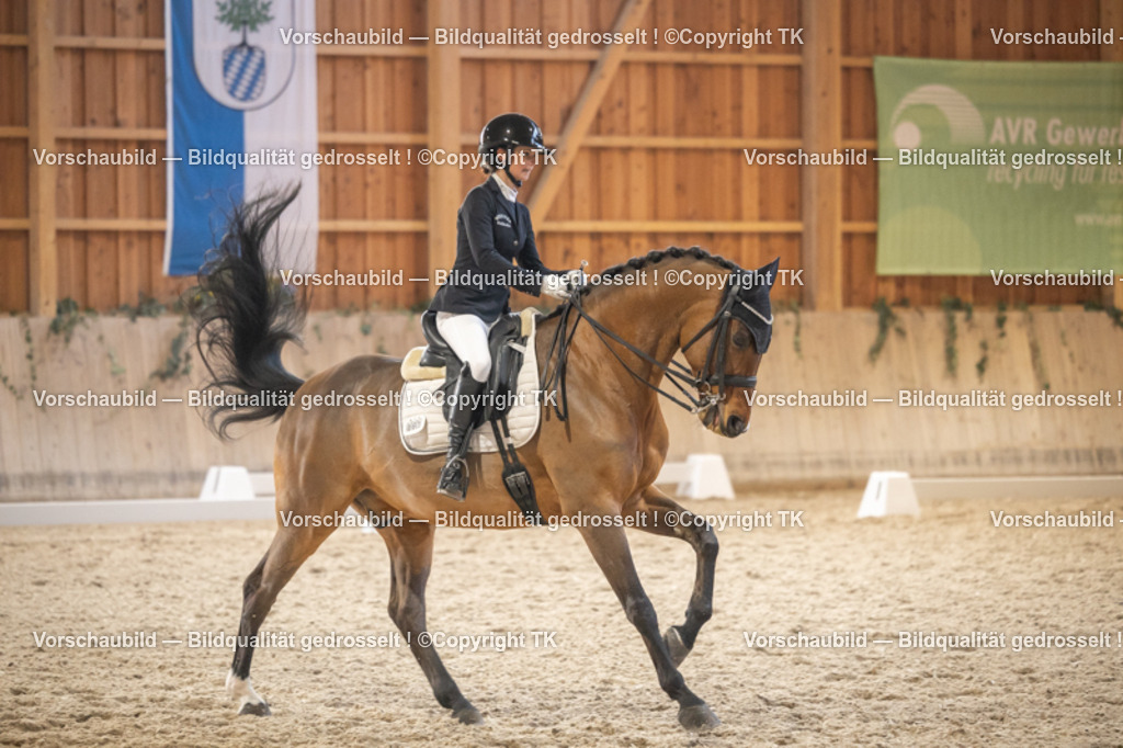 _D5A6611 | Emotionale Pferde- & People-Fotografie rund um Heidelberg, Leimen & Umgebung. Natürliche Fotos von Pferd, Mensch & Familie. Jetzt Termin sichern!