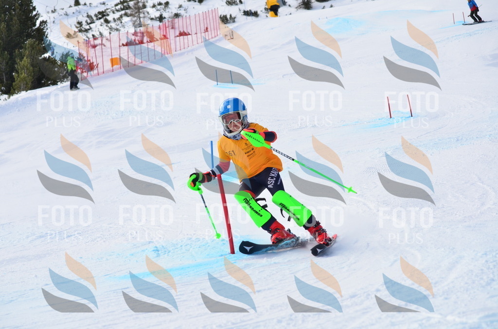 C7832 | holidayphoto