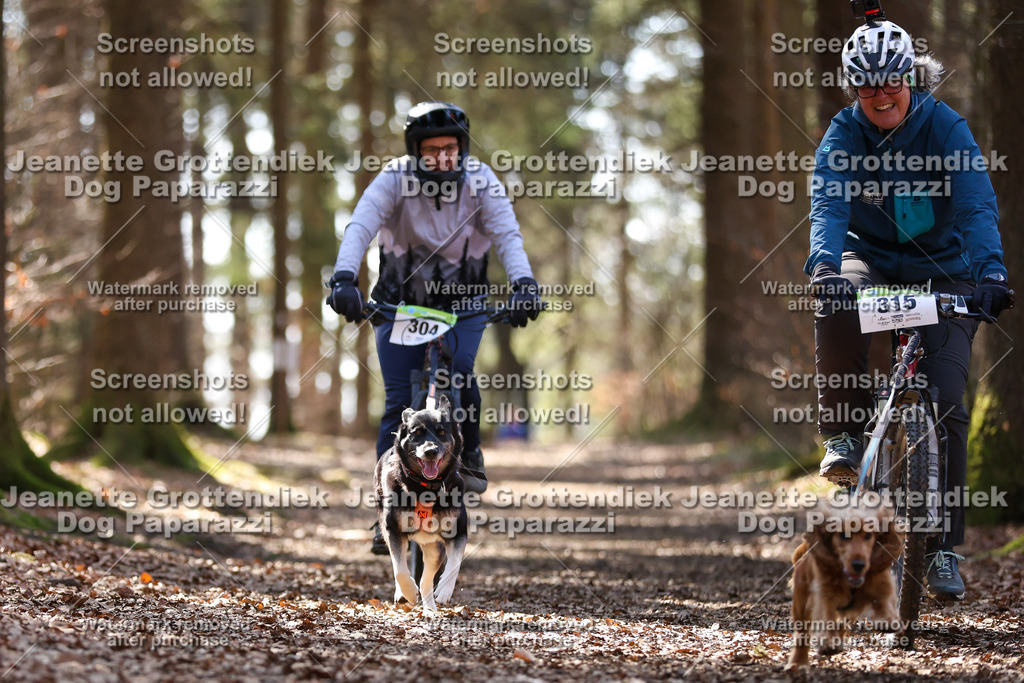 Dog Paparazzi - VCC26-1428 | Dog Paparazzi Jeanette Grottendiek Fotografie & Videografie - Realisiert mit Pictrs.com