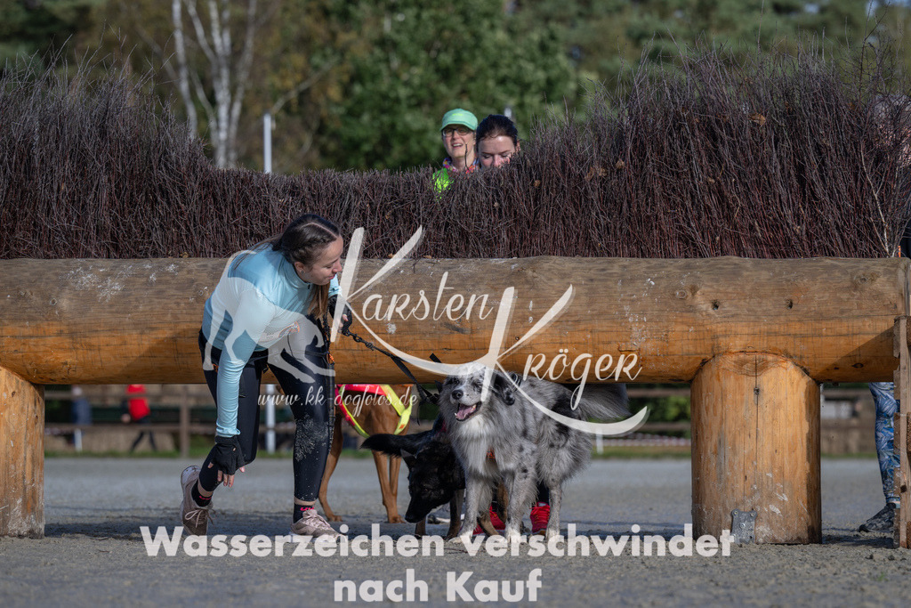 1055-_ZZ93254 | kk-dogfotos