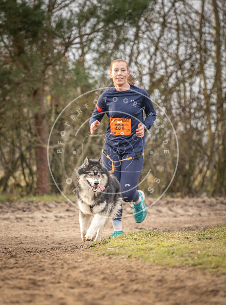 Pfotenfotografie_DV3A1164 | Hundefotografie, Tierfotograf, Pfotenfotografie, Fotoshooting Hund, Hunde Portrait, Hundesport, Hundeportraits, Heideshooting, Hunde, Sportfotograf, Hundefotograf, Turnierhundsport, THS,  - Realisiert mit Pictrs.com