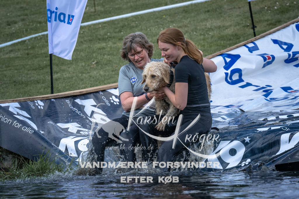 1110_ZZ91306 | kk-dogfotos