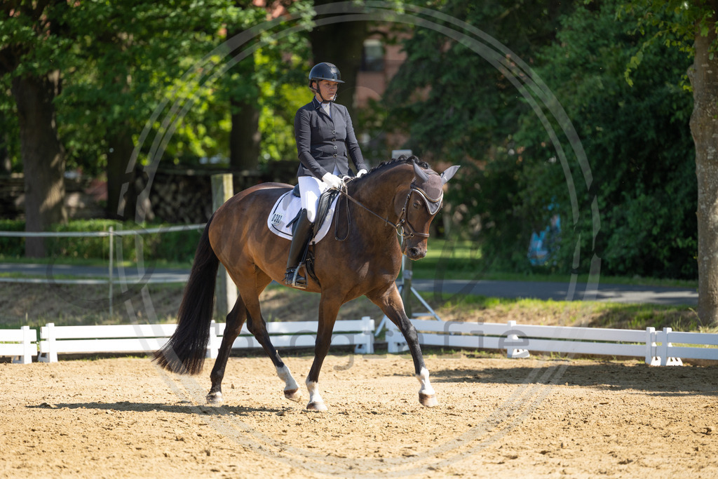 994A2976 | sabrinanicolaifotografie - Realisiert mit Pictrs.com