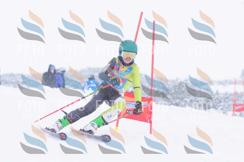 C4082 | holidayphoto