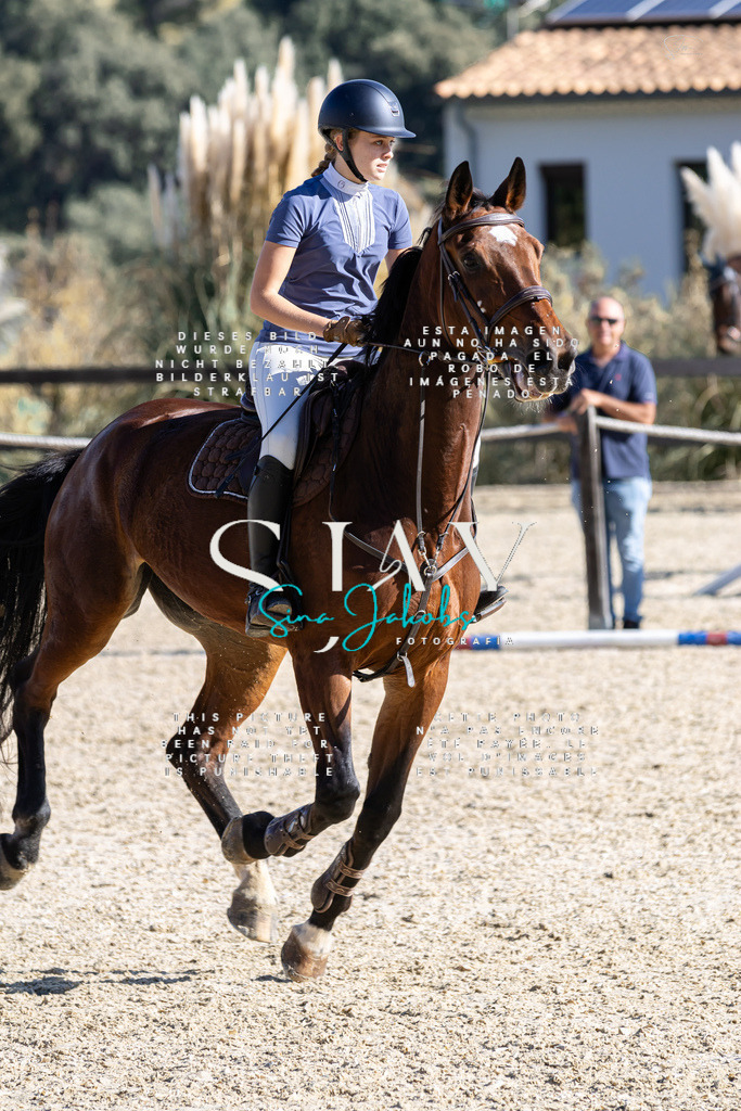 IMG_0776 | s-jay-photography - Realisiert mit Pictrs.com