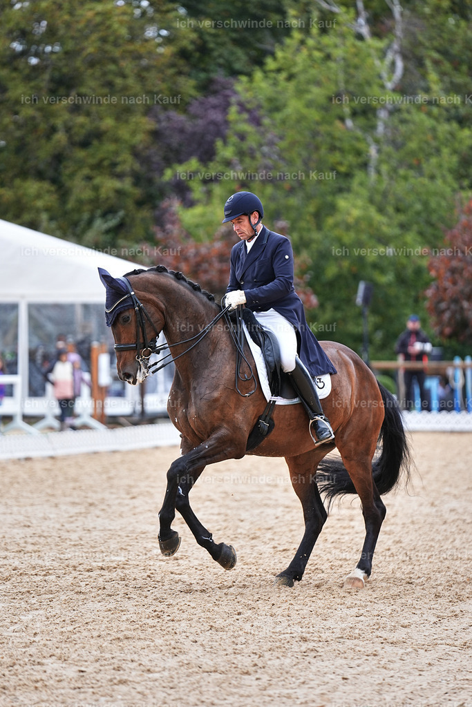12-226-DRESSUR  S___  -Marixx-5204 | working equitationturnier fotograf videograf stoibphotography marixx film working equitation deutschland reitsport turnierfotografie eventfotografie equestrian events
