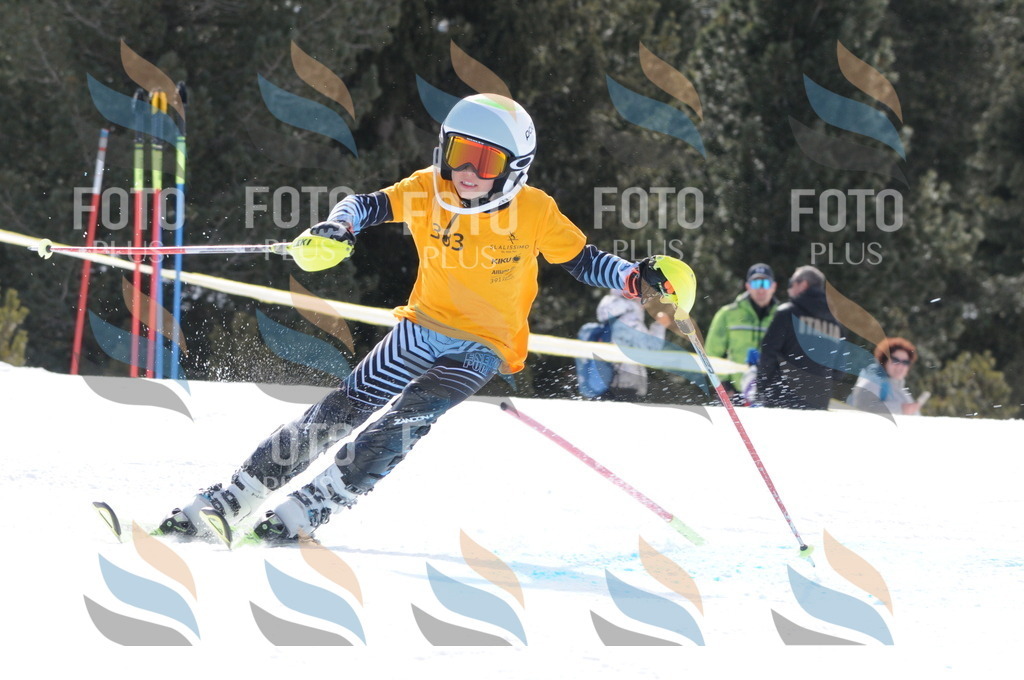 C7699 | holidayphoto