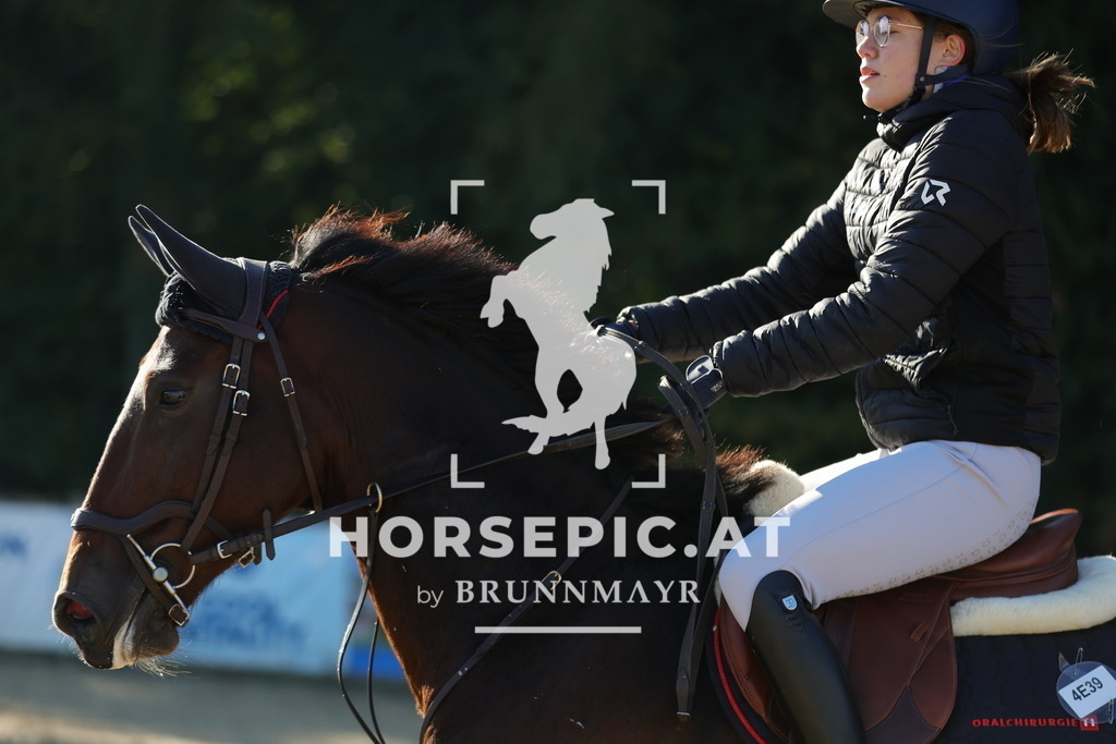 0P6A8860 | Willkommen bei Brunnmayr - Design & Fotografie – Ihrem Spezialisten für Reitturniere und Pferdeveranstaltungen in Oberösterreich, Salzburg und Bayern! Seit über 17 Jahren sind wir leidenschaftlich dabei.