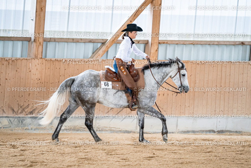 DSC08694 | Pferdegrafie