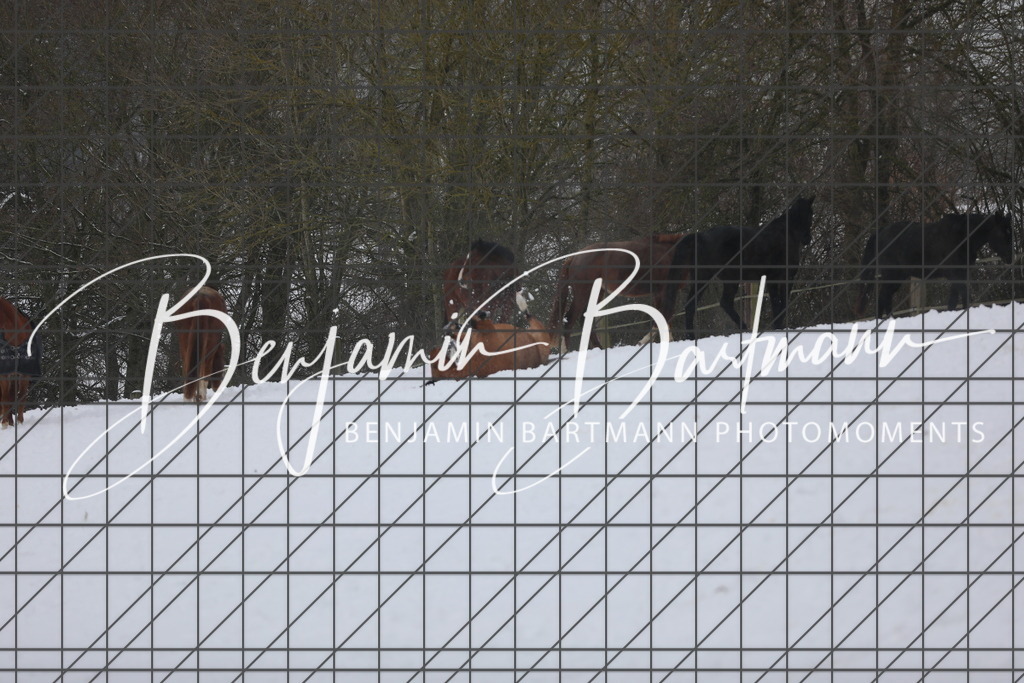 AZ2A3406 | Benjamin Bartmann Photomoments