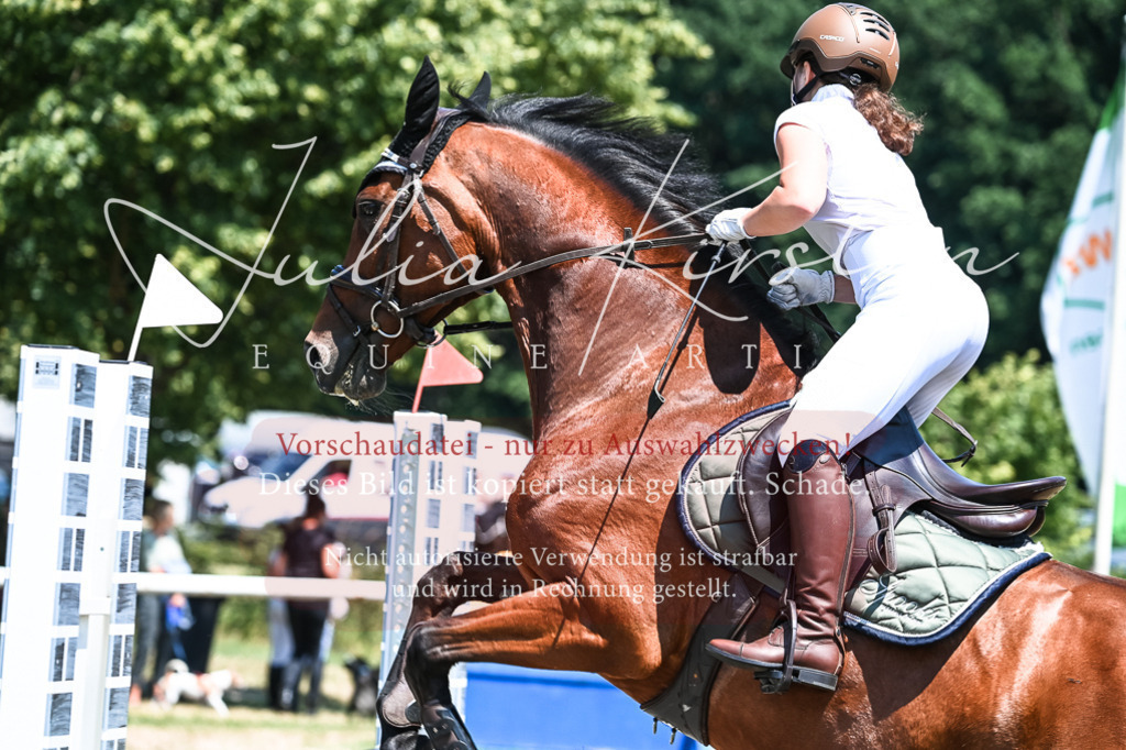 DSC_0392 | Pferde- und Turnierfotografie in Westsachsen. Pferdeportraits, Auftragszeichnungen und intuitive Kunst.
