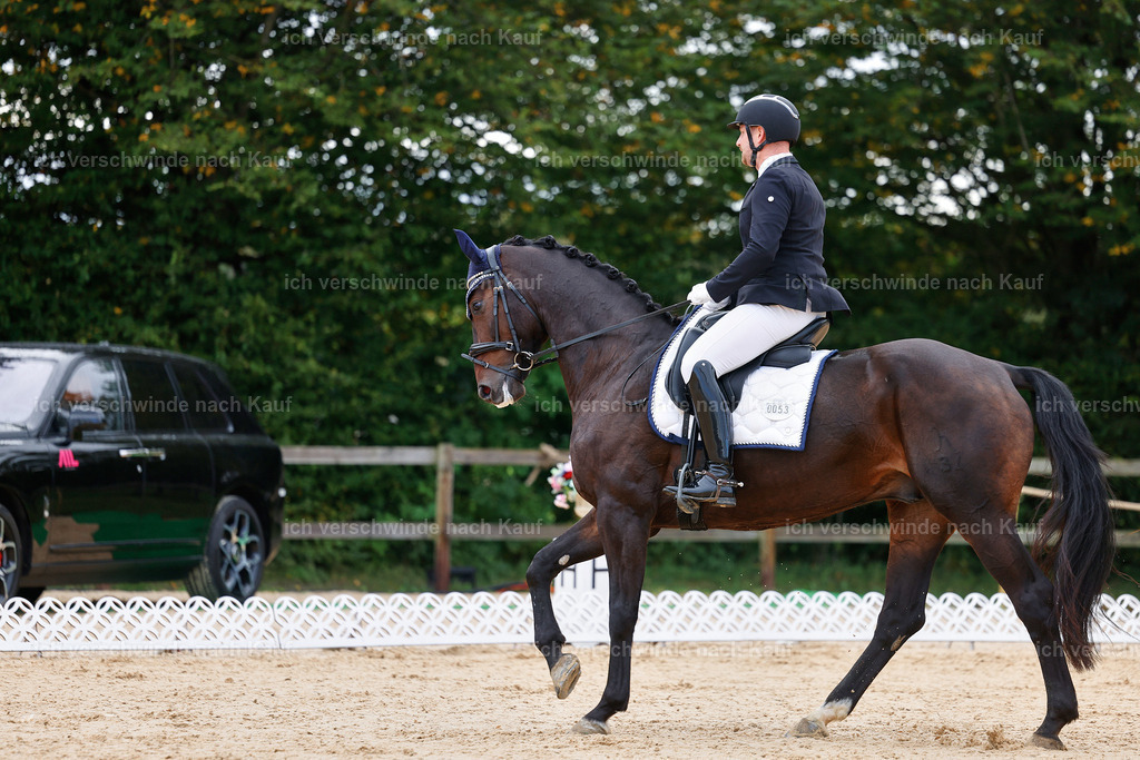 02-053-DRESSUR L_  -StoibPH-4698 | working equitationturnier fotograf videograf stoibphotography marixx film working equitation deutschland reitsport turnierfotografie eventfotografie equestrian events