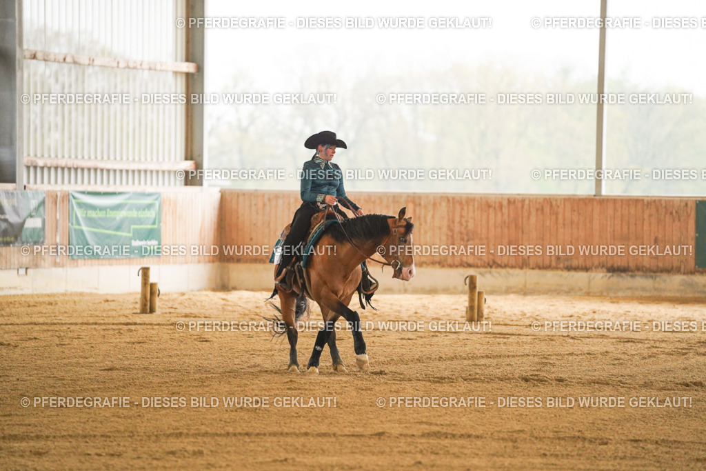 DSC09774 | Pferdegrafie